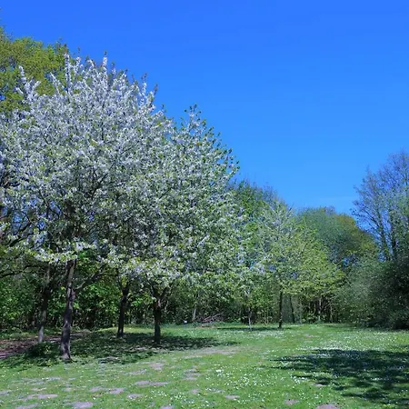 Panoramic App C02-1 Apartment *