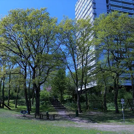 Panoramic App C02-1