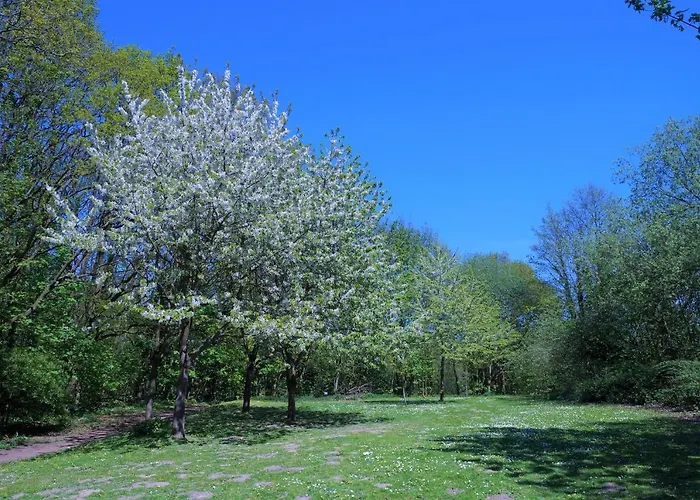 Panoramic App C02-1 Appartement *